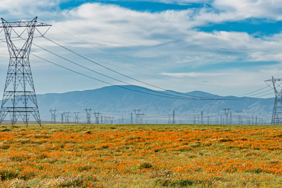 Power transmission lines surrounded by orange California poppies and silhouette of mountains in background